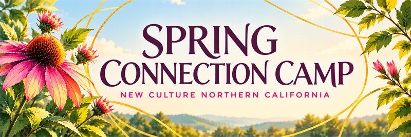 Spring Connection Camp - New Culture Northern California